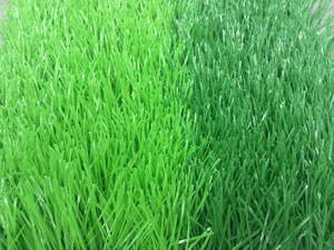 Fußball-Kunstrasen, Fußball-Kunstrasen, Fußball-Gras, Fußball-Rasen, Kunstrasen, Rasen, Kunstrasen